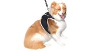 Pet Realtime Surveillance w/ Pet Tracker GPS Tracking Chip for Dogs + App Size:M